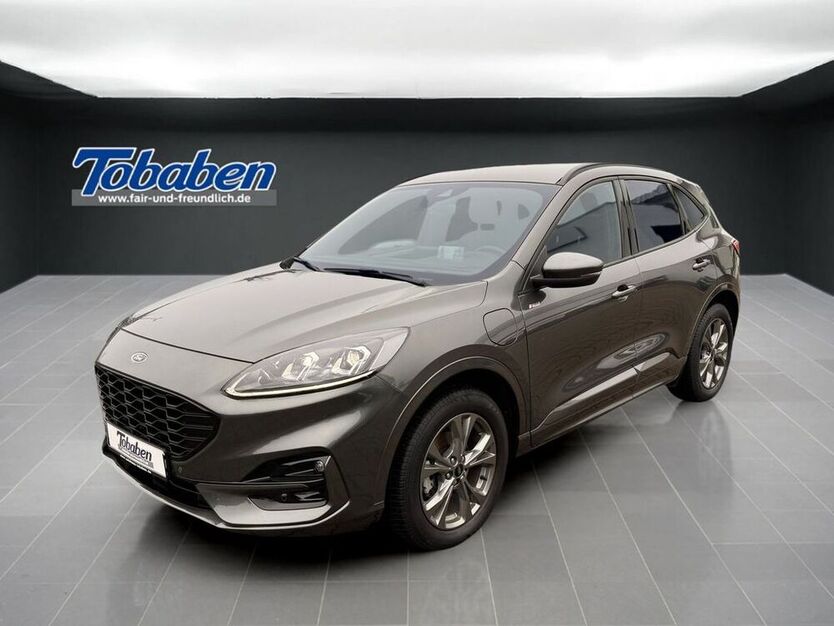 Kuga