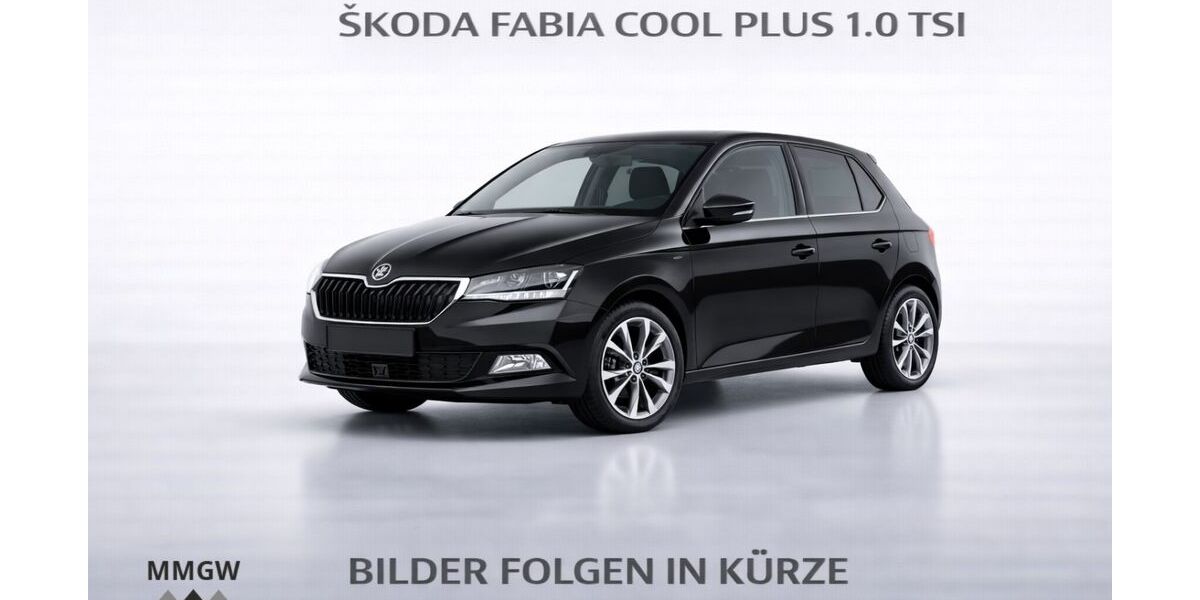 Skoda Fabia 42.643 km 13.990 &euro; Bensheim 64625