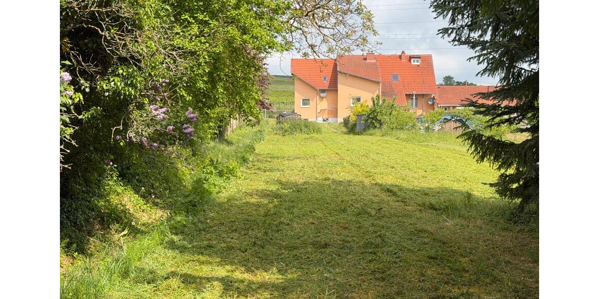 Grundstück Alzey - 7.788&euro; | Angebot:26459132