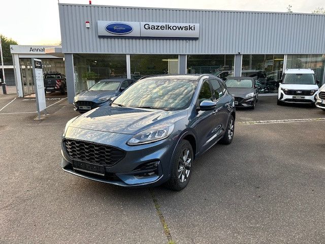 Kuga