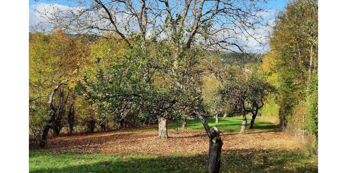 Grundstück Würzburg Unterdürrbach - 129.900&euro; | Angebot:26154869