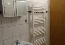 1-Zimmer-Wohnung in Bad Peterstal