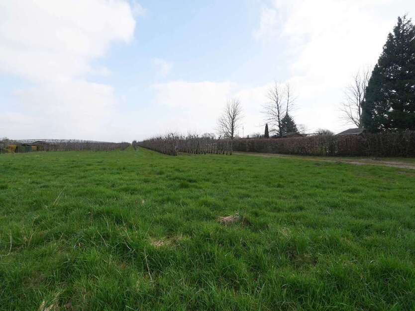 Grundstück zu verkaufen in Haselau 240.000 € 1273 m²