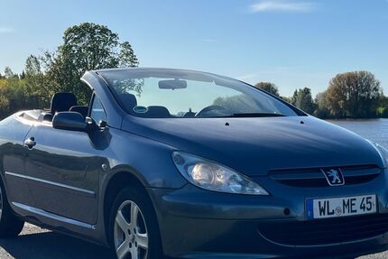 Peugeot 307 259.000 km 1.500 &euro; Drage 21423
