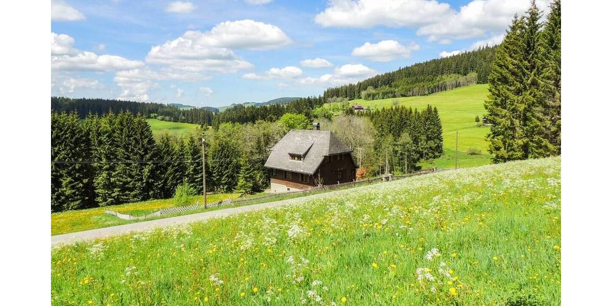 Mehrfamilienhaus, Wohnhaus Titisee-Neustadt Titisee - 3 Zimmer, 101 m&sup2;, 749.000&euro; | Angebot:26274112