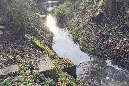 Frisch renovierte 1-Zimmer Wohnung im EG + Arbeitszimmer 2 zimmer