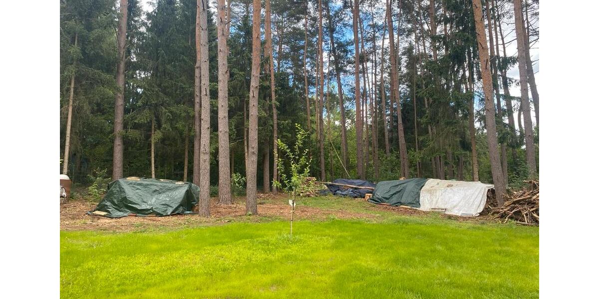 Bungalow Winsen (Aller) - 2.5 Zimmer, 80 m&sup2;, 280.000&euro; | Angebot:26915598