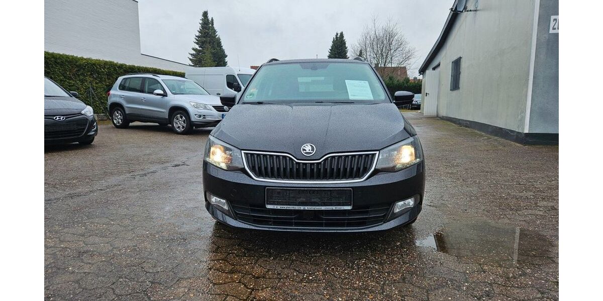 Skoda Fabia 255.000 km 5.650 &euro; Munster 29633