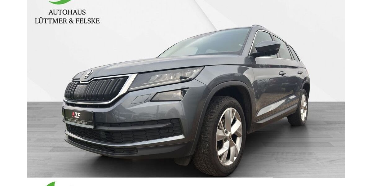 Skoda Kodiaq 134.700 km 22.480 &euro; Schleswig 24837