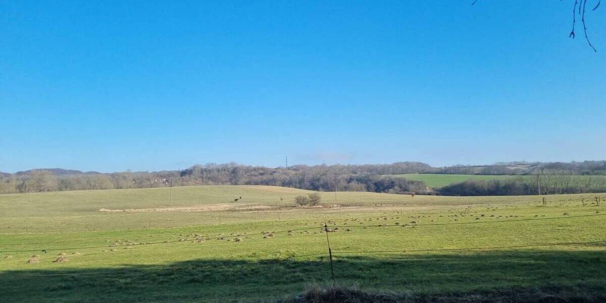 Mehrfamilienhaus, Wohnhaus Sagard Neddesitz - 9 Zimmer, 260 m&sup2;, 495.000&euro; | Angebot:25705304