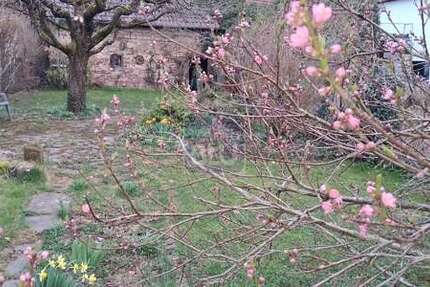 Grundstück Pfinztal - 399.000&euro; | Angebot:25274840