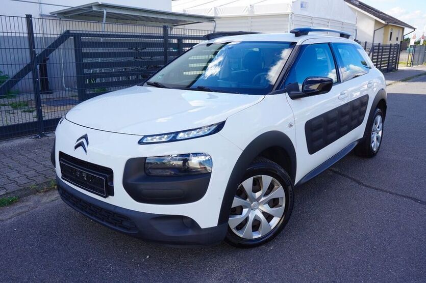 C4 Cactus