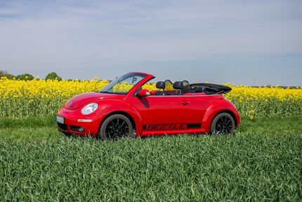 VW Beetle 93.389 km 7.000 &euro; Dillingen 89407