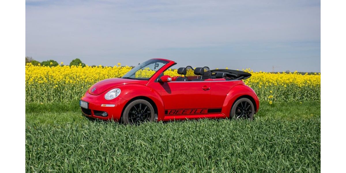 VW Beetle 93.389 km 7.999 &euro; Dillingen 89407