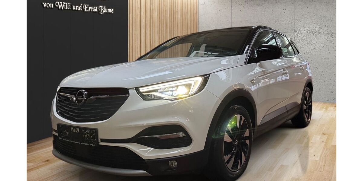 Opel Grandland (X) 84.600 km 15.980 € Bad Lauterberg 37431