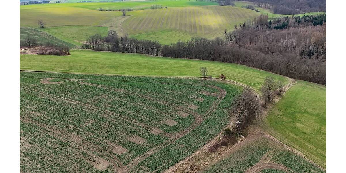 Grundstück Müglitztal Mühlbach - 5.900&euro; | Angebot:26110618