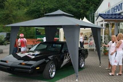 Pontiac Firebird 150.000 km 7.777 &euro; Dillstädt 98530