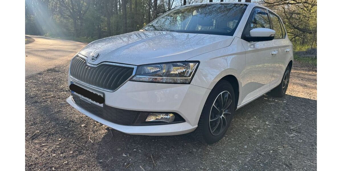 Skoda Fabia 114.000 km 7.400 &euro; Owschlag 24811