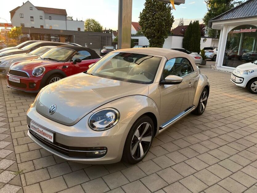 Beetle