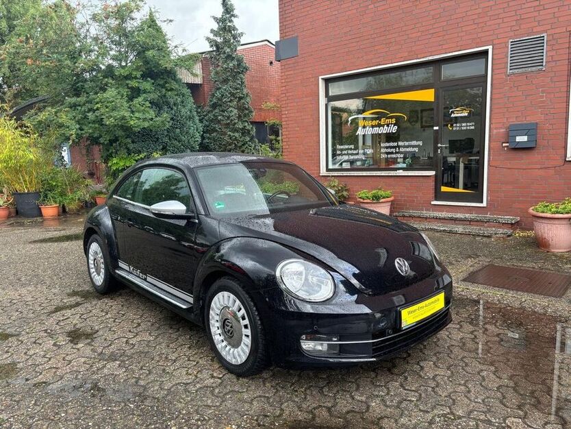 Beetle