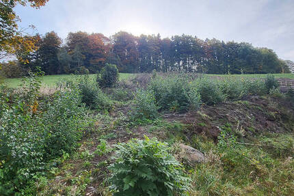 Grundstück Bockau - 62.500&euro; | Angebot:25744551