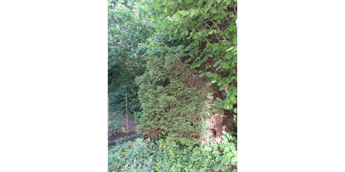 Etagenwohnung Schweinfurt Gartenstadt - 3 Zimmer, 77 m&sup2;, 855&euro; | Angebot:26686956