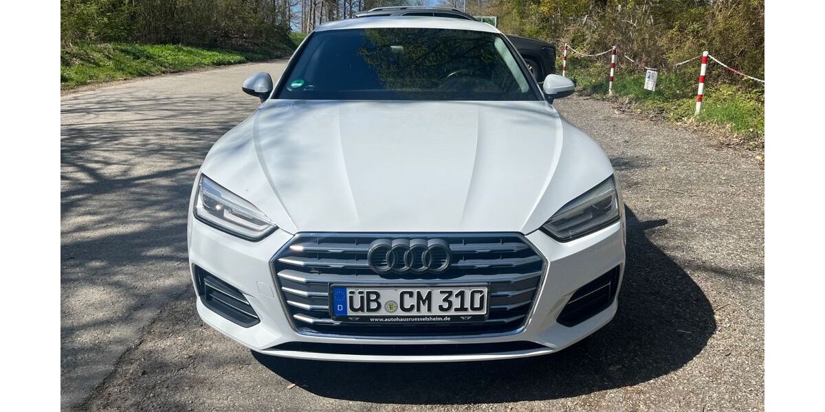 Audi A5 159.330 km 17.950 &euro; Sipplingen 78354