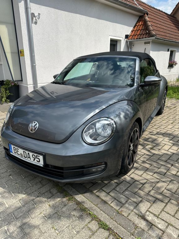 Beetle