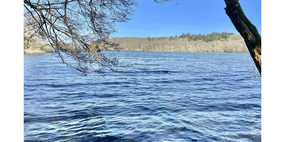 Mehrfamilienhaus, Wohnhaus Ratzeburg - 1 Zimmer, 432 m&sup2;, 550.000&euro; | Angebot:26246759