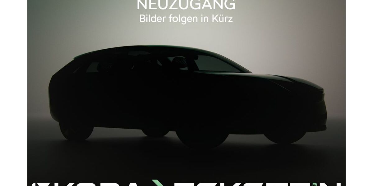 Skoda Kamiq 35.000 km 18.950 &euro; Sonneberg 96515