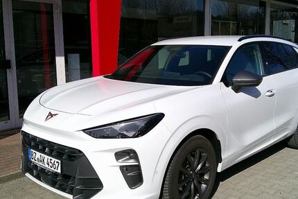 Cupra Terramar 4.000 km 39.500 &euro; Steinigtwolmsdorf 01904