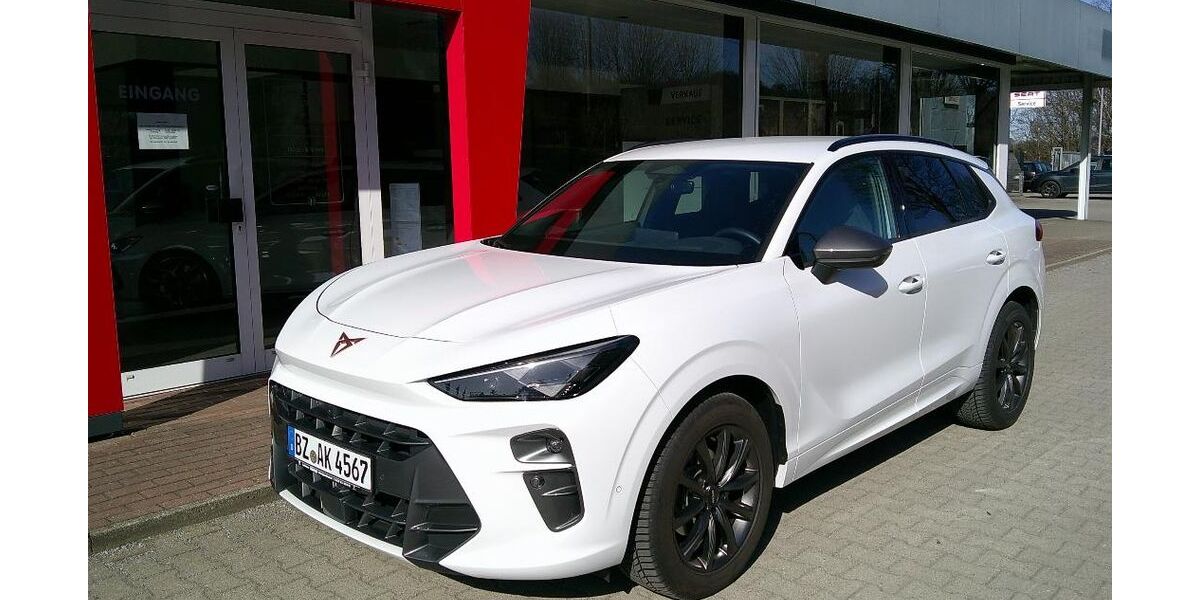 Cupra Terramar 4.000 km 39.500 &euro; Steinigtwolmsdorf 01904