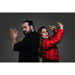 Flamenco Mi Amor