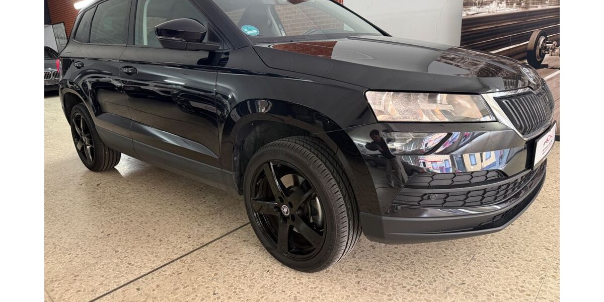 Skoda Karoq 100.000 km 16.490 &euro; Waldsee 67165