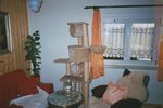 Zwickau, EFH - Einfamilienhaus Zwickau | Angebot:18333578