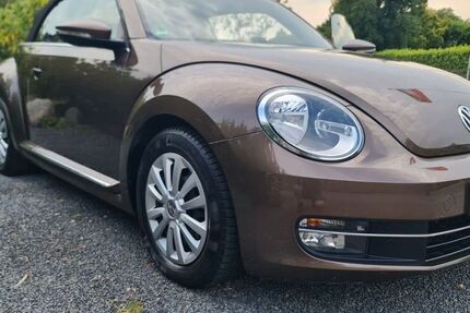 VW Beetle