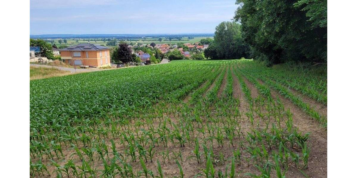 Grundstück Holzheim Eppisburg - 485.000&euro; | Angebot:23944088