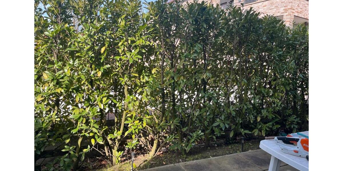 Erdgeschoßwohnung Vechta - 2 Zimmer, 61 m&sup2;, 230.000&euro; | Angebot:25932028