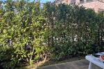 Erdgeschoßwohnung Vechta - 2 Zimmer, 61 m&sup2;, 230.000&euro; | Angebot:25932028