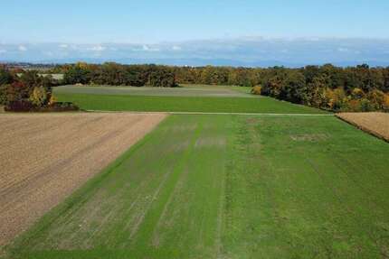 Sonstige Wallersdorf - 89.824&euro; | Angebot:25196528