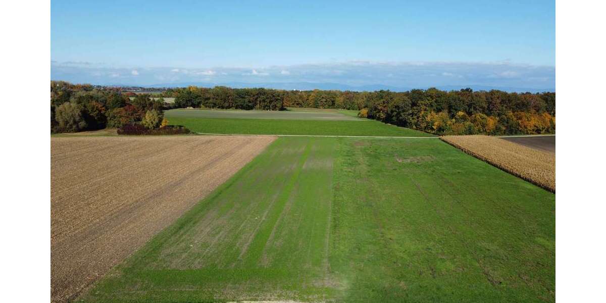 Sonstige Wallersdorf - 89.824&euro; | Angebot:25196528