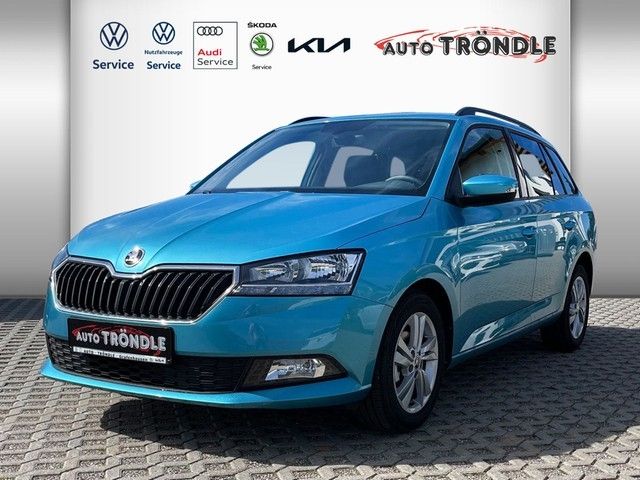 Skoda Fabia 20.500 km 17.860 € Grafenhausen 79865