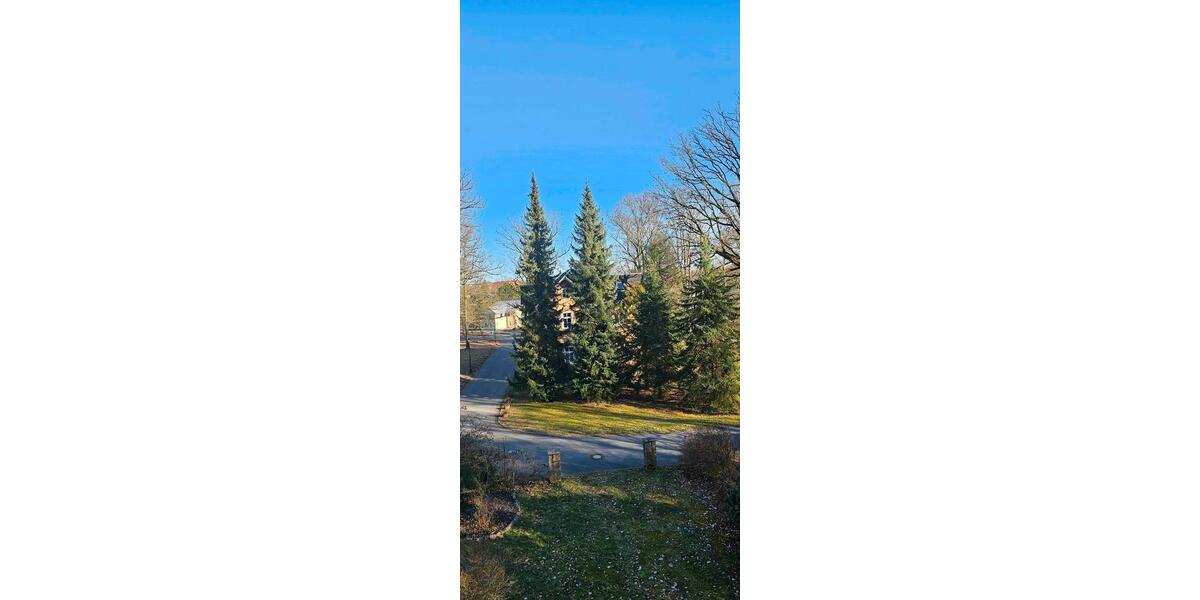 Etagenwohnung Waldheim - 5 Zimmer, 137 m&sup2;, 850&euro; | Angebot:24944104