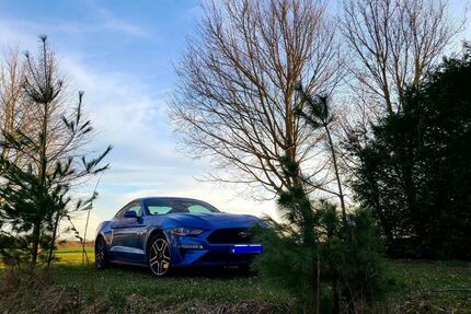 Ford Mustang 30.000 km 30.400 € Fürstenfeldbruck 82256