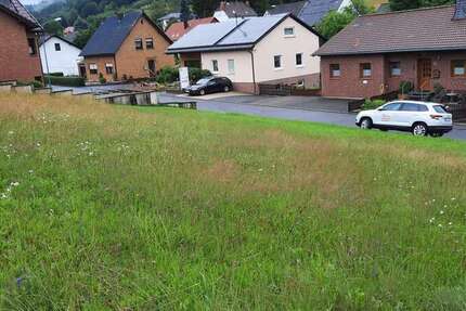Grundstück Neroth - 70.000&euro; | Angebot:26440417