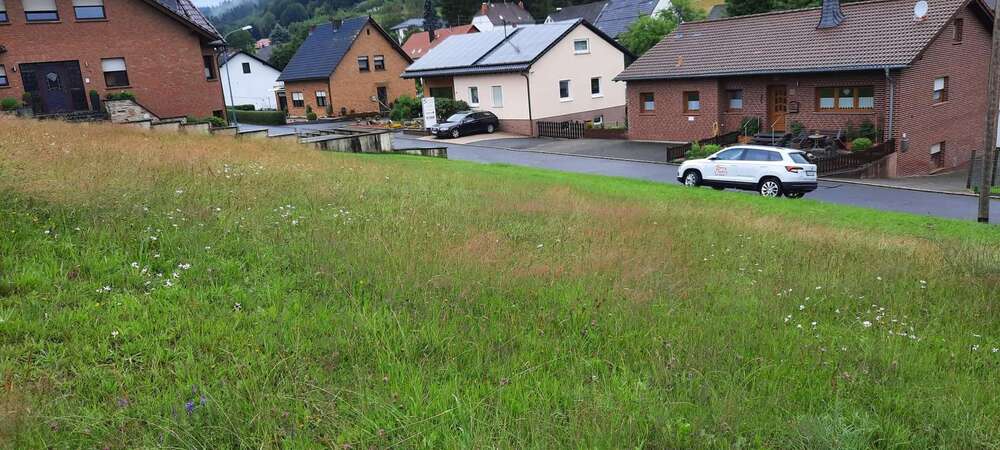 Grundstück Neroth - 70.000&euro; | Angebot:26440417