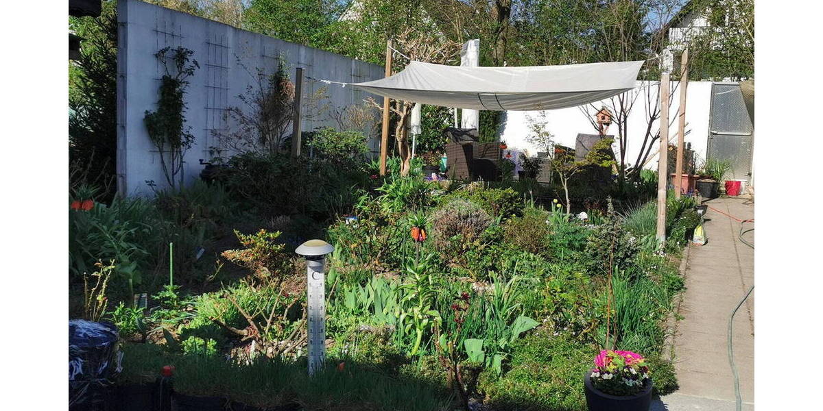 Doppelhaushälfte Dieburg - 3 Zimmer, 80 m&sup2;, 495.000&euro; | Angebot:26290136