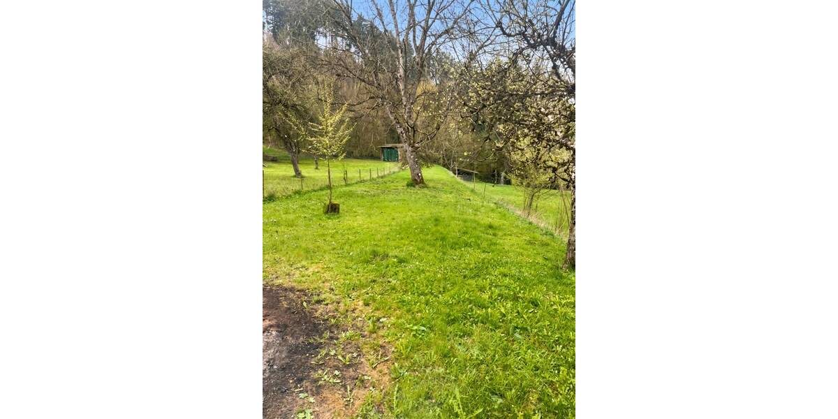 Einfamilienhaus Sulz am Neckar / Fischingen Fischingen - 4 Zimmer, 88 m&sup2;, 287.500&euro; | Angebot:26308887