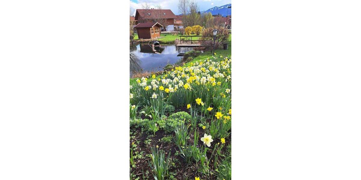 Einfamilienhaus Burgberg i. Allgäu Burgberg - 6 Zimmer, 200 m&sup2;, 1.200.000&euro; | Angebot:25760471
