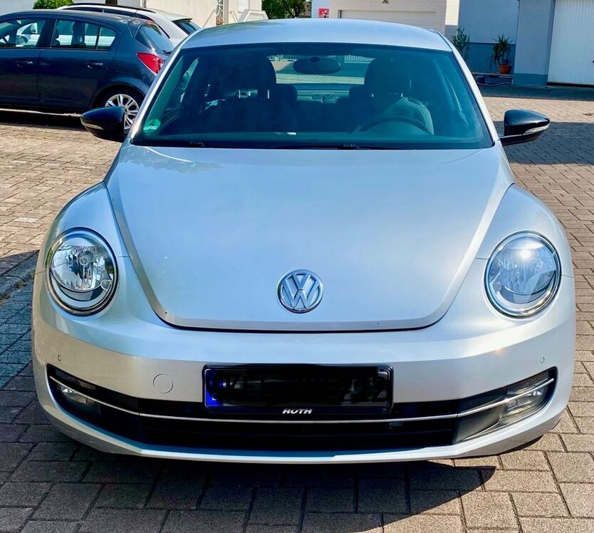 Beetle